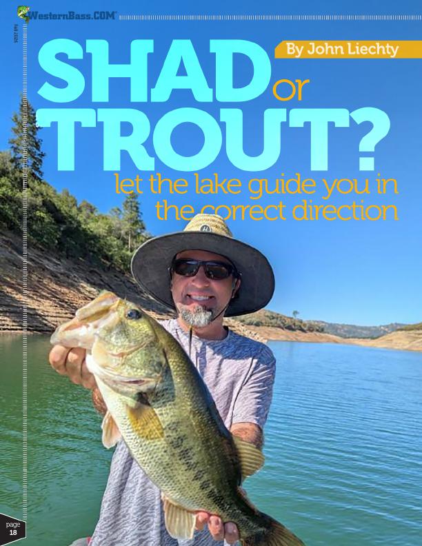 Fall Bass Fishing Shad or Trout Let the Lake Decide, Page 3
