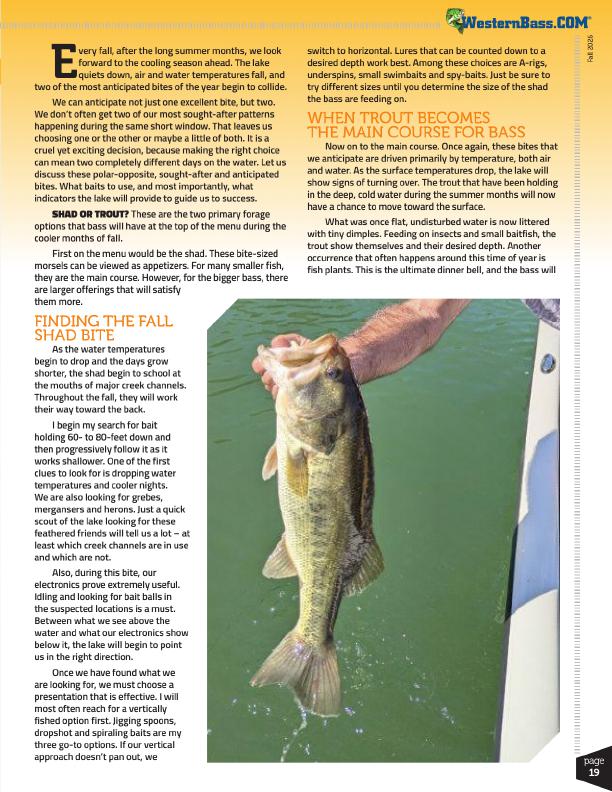 Fall Bass Fishing Shad or Trout Let the Lake Decide, Page 4