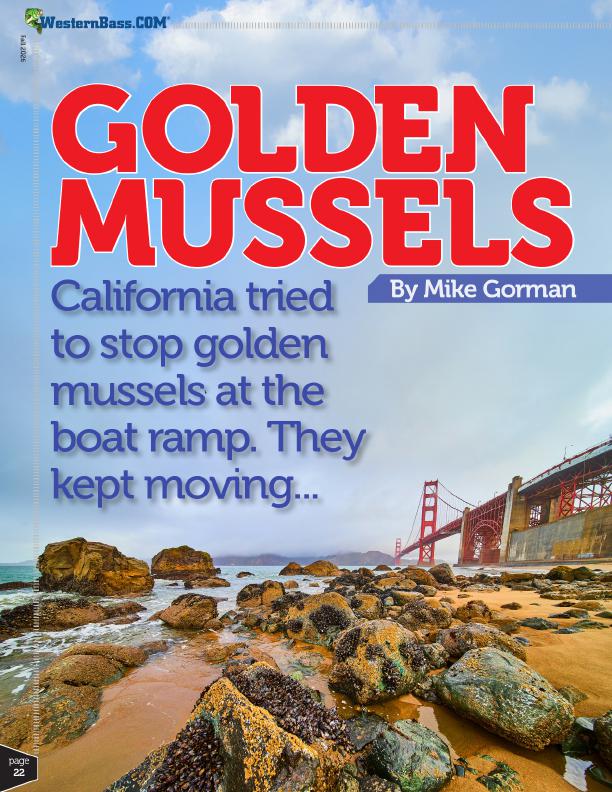 Golden Mussels Spread Nearly 500 Miles Across California, Page 3
