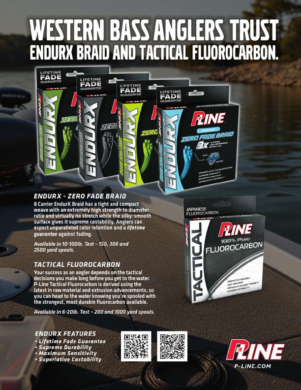 Why Two Spinnerbaits of the Same Weight Fish Completely Differently, Page 2