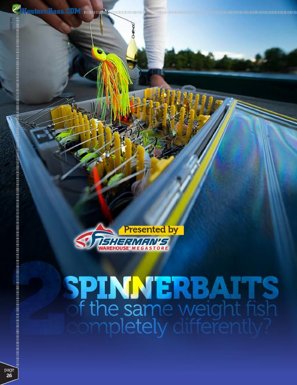 Why Two Spinnerbaits of the Same Weight Fish Completely Differently, Page 3