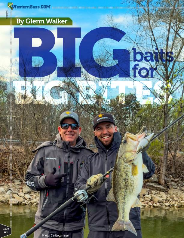 Big Baits for Big Bass When Pros Throw Glide Baits and Swimbaits, Page 3