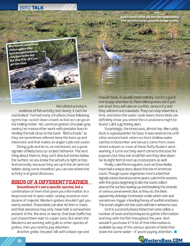Westernbass Magazine October 2011, Page 10