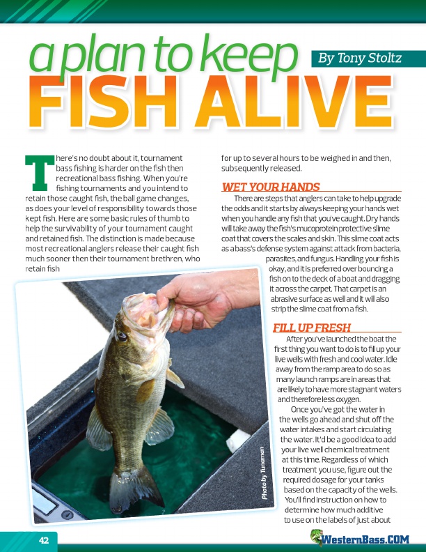 Westernbass Magazine October 2011, Page 42