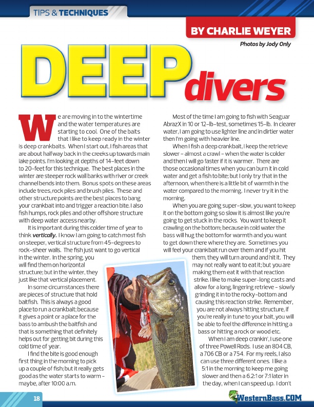 Deeo Divers by Charlie Weyer