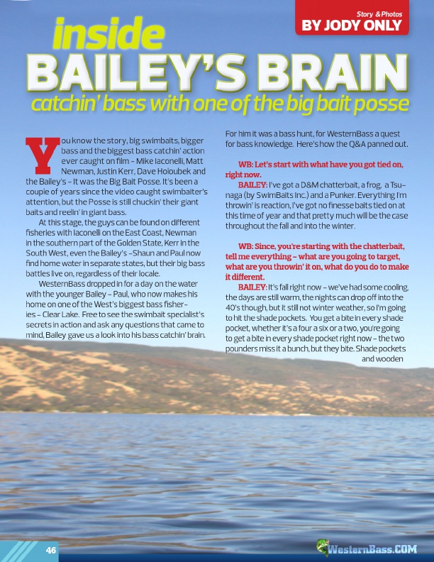 Inside Bailey's Brain by Jody Only