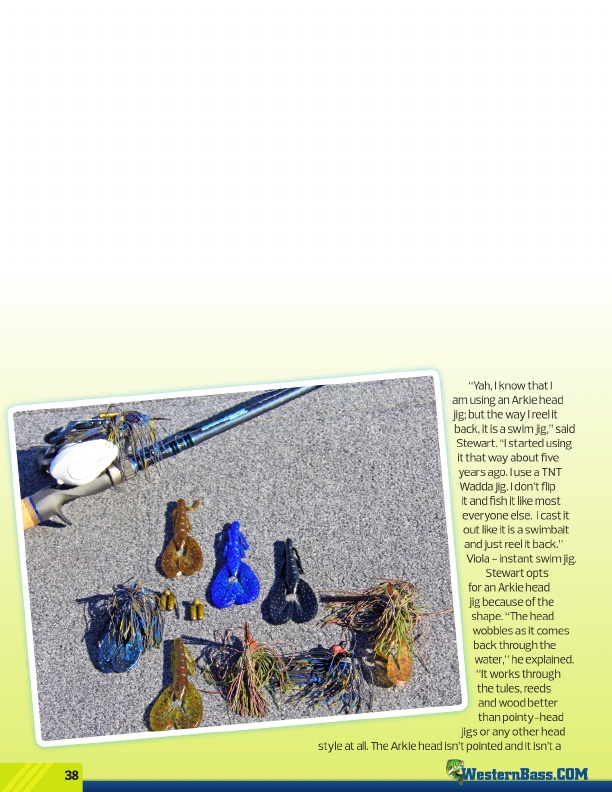 Westernbass Magazine - Bass Fishing Tips And Techniques - Spring 2013, Page 38