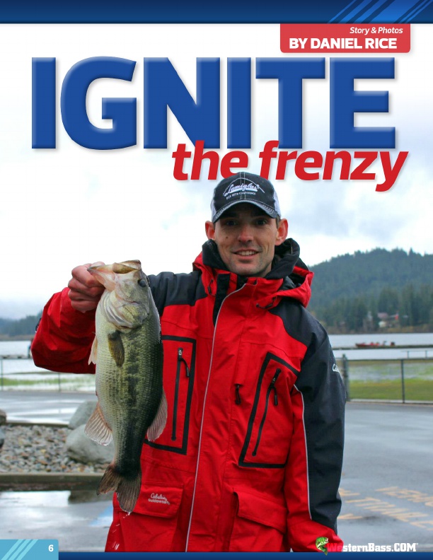 Ignite The Frenzy by Dan Rice