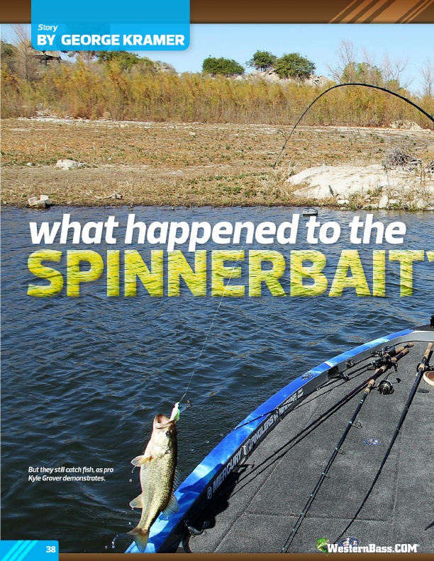 What Happened
To The Spinnerbait ?
by George Kramer