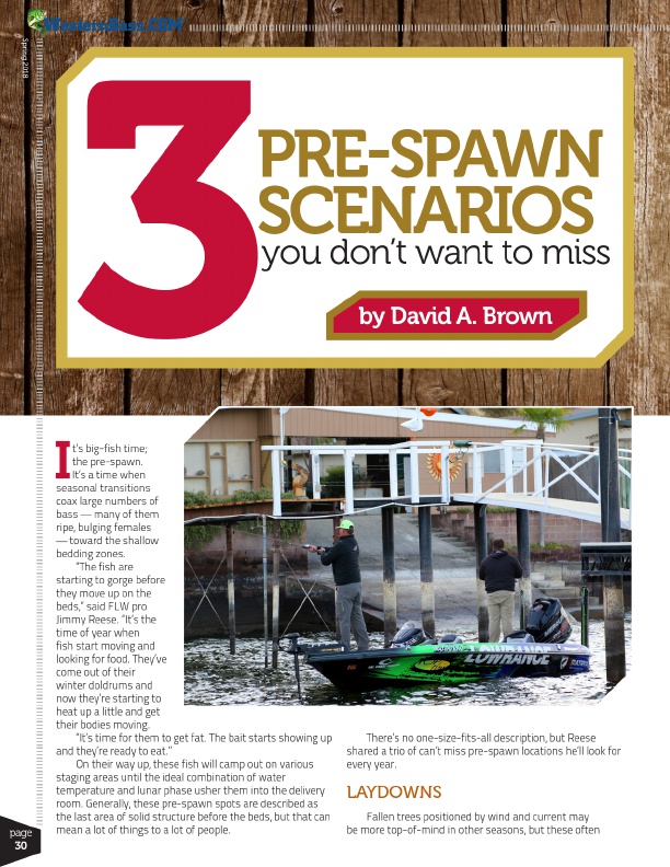 Bass Fishing Creeks, Laydowns and Docks to Catch Bass in Different Spawning Phases
