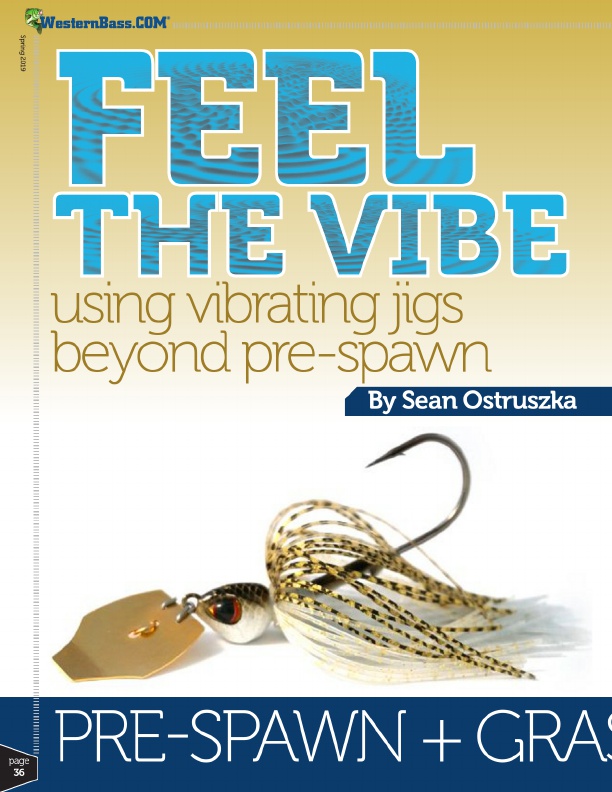 Bryan Schmitt on Vibrating Jigs