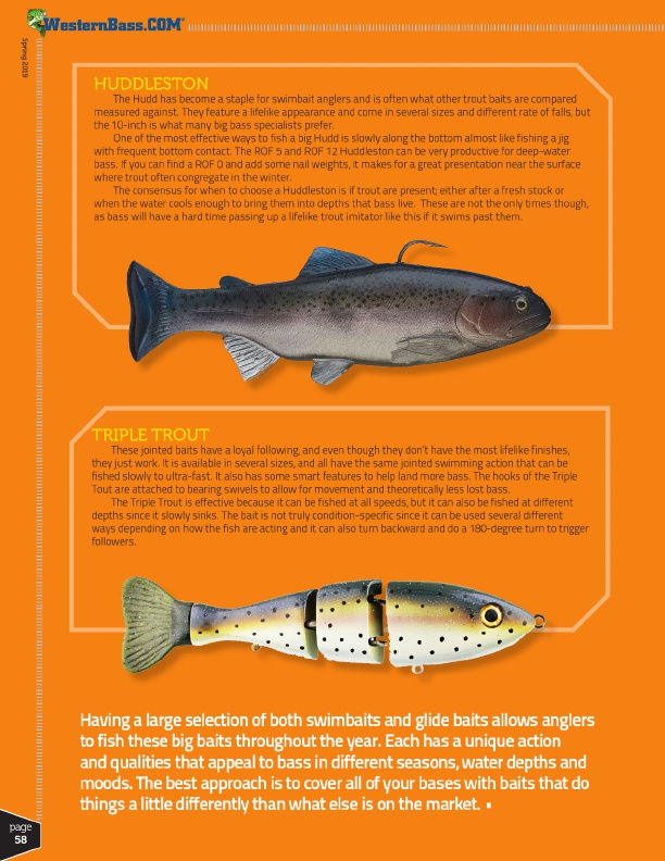 Guide to 5 Popular Big Baits by Tyler Brinks