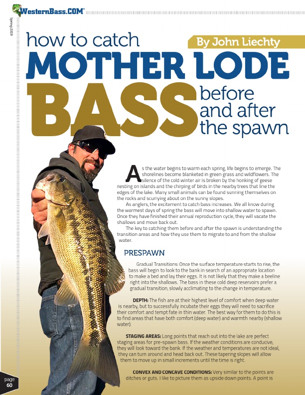 Springtime Tips for Bass Fishing the Mother Lode
