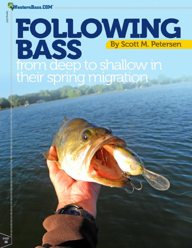 electronics for spring bass fishing