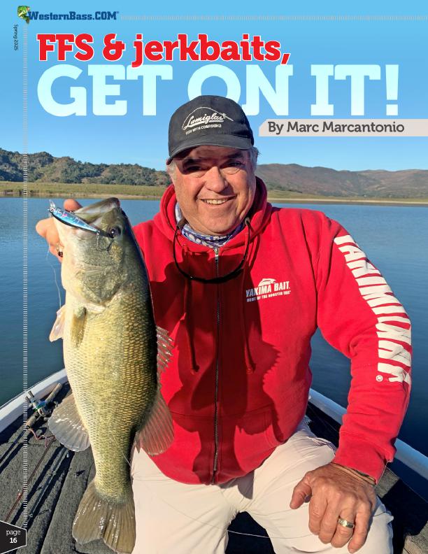 damiki rig and jerkbaits for forward facing sonar