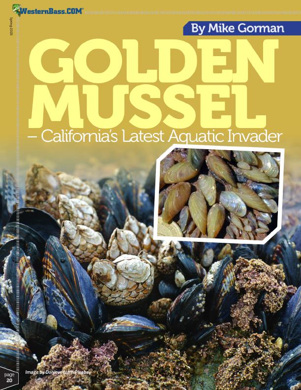 bass fishing, bass boat, Lake Shutdowns, Decontamination Stations And More