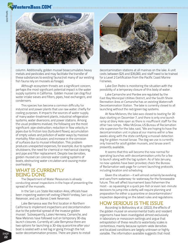 Golden Mussel | Californias Latest Aquatic Invader by Mike Gorman, Page 3