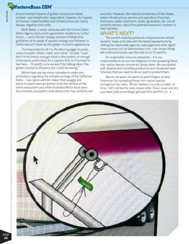 BAJIO | What Will You See Today, Page 2