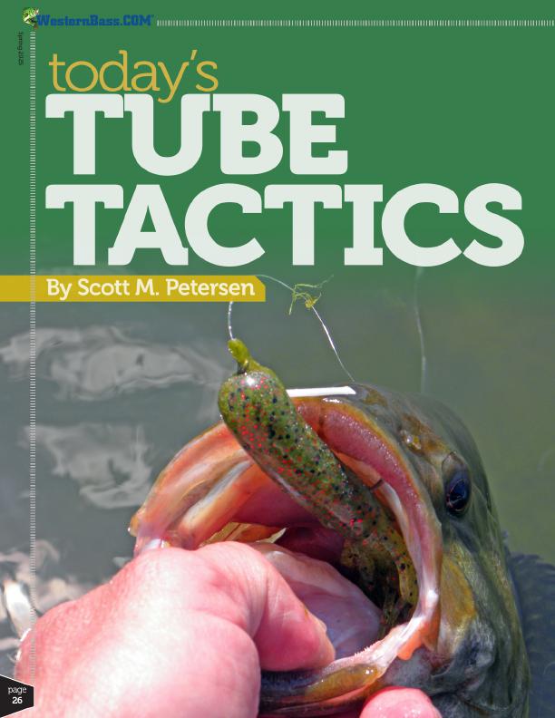 fishing a tube for largemouth bass