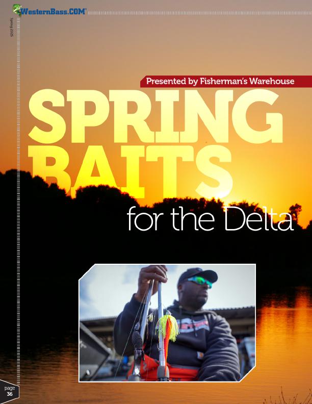 bass fishing lures for spring