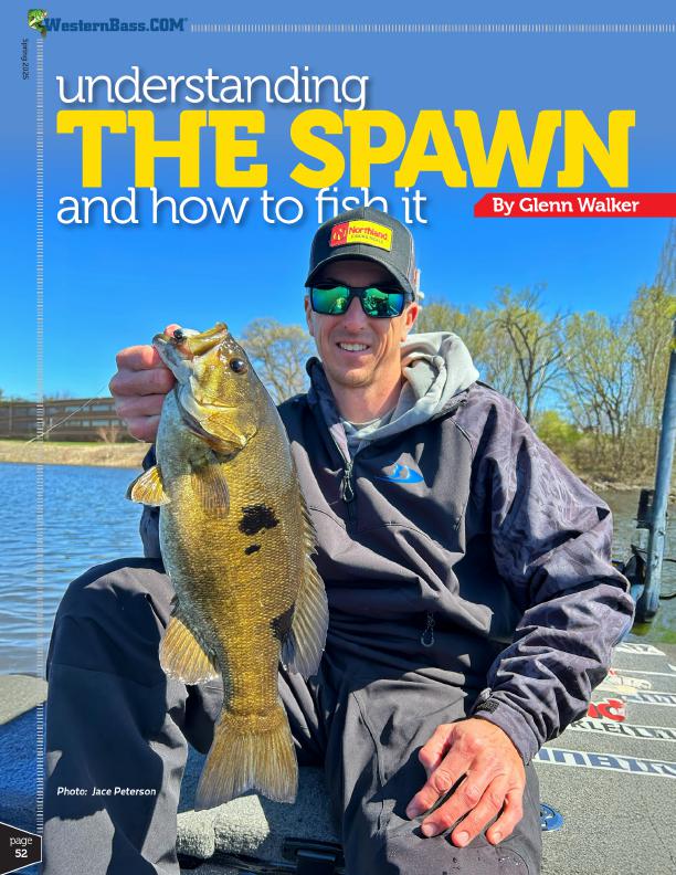 pre spaw, spawn and post spawn tips for catching bass