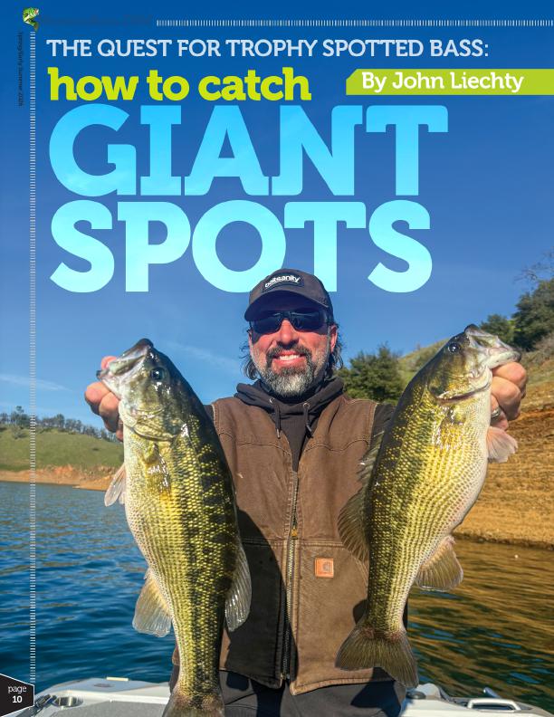 Catching Giant Spotted Bass