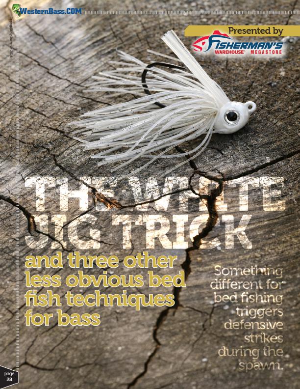 Unique Bed Fishing Techniques for Bass