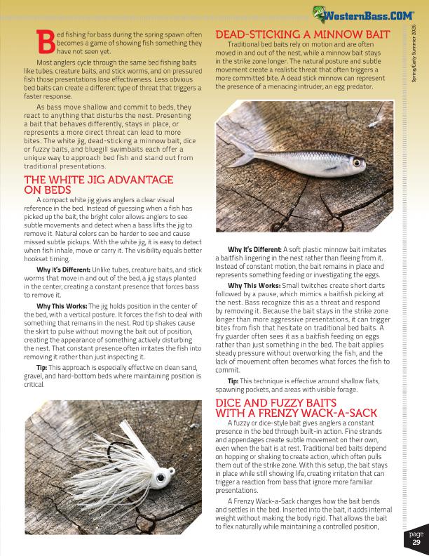 Less Obvious Bed Fishing Baits That Trigger More Bass Bites, Page 2