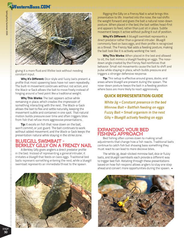 Less Obvious Bed Fishing Baits That Trigger More Bass Bites, Page 3
