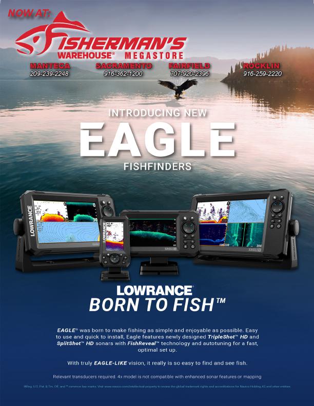 Less Obvious Bed Fishing Baits That Trigger More Bass Bites, Page 4