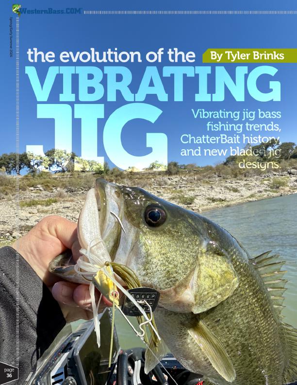 Vibrating Jig Bass Fishing Evolution