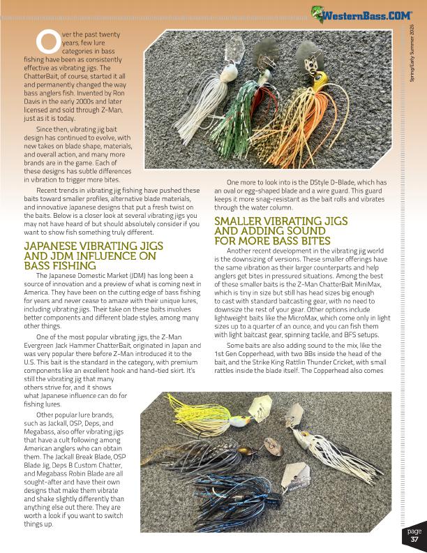 The Evolution of the Vibrating Jig in Bass Fishing, Page 2