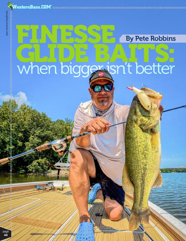 Small Glide Baits for Bass Fishing