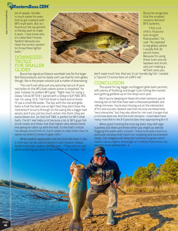 Finesse Glide Baits for Bass When Smaller Baits Work Better, Page 3