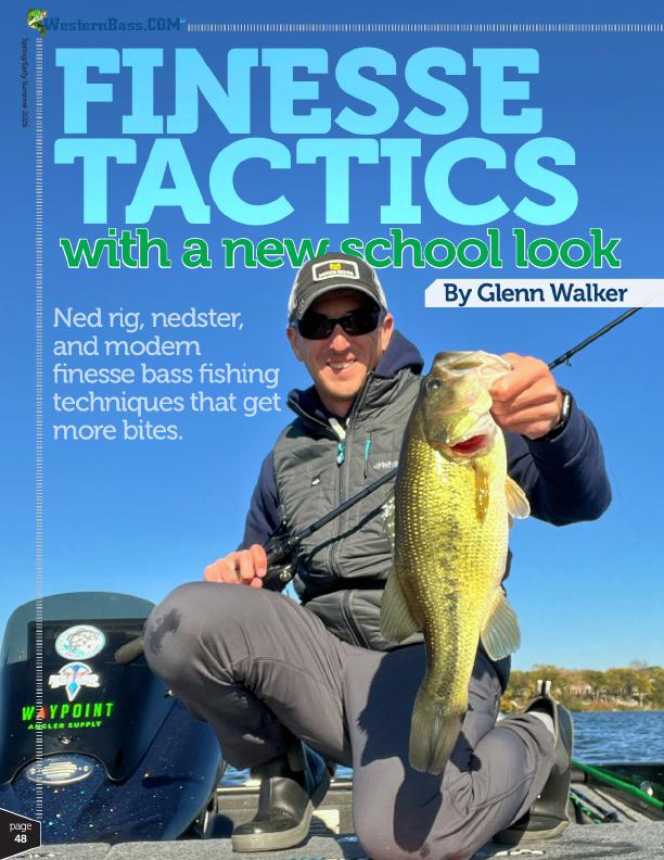 Ned Rig Finesse Bass Fishing Techniques