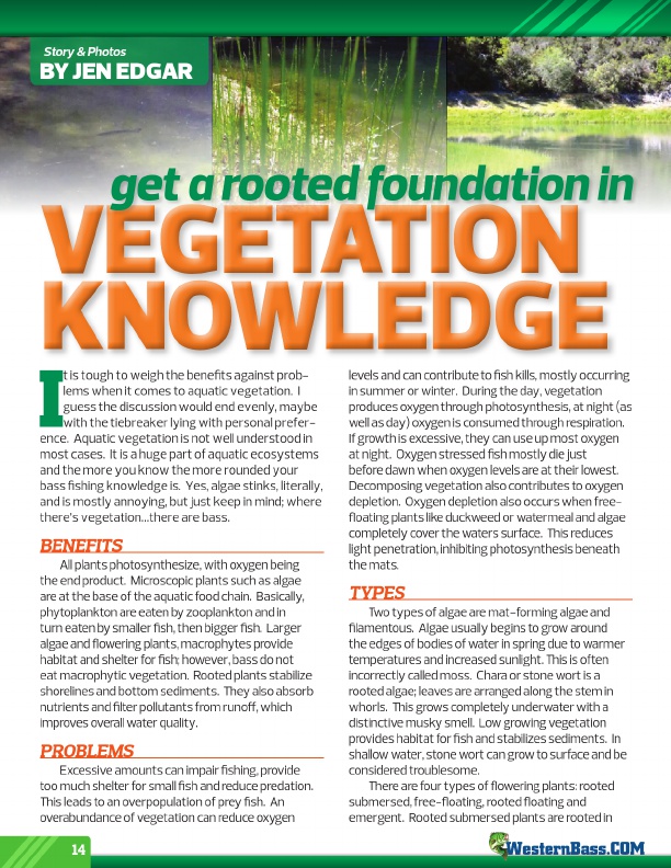 Get A Rooted Foundation In Vegetation Knowledge