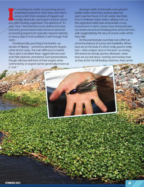 Westernbass Magazine - Bass Fishing Tips And Techniques - Summer 2013, Page 19