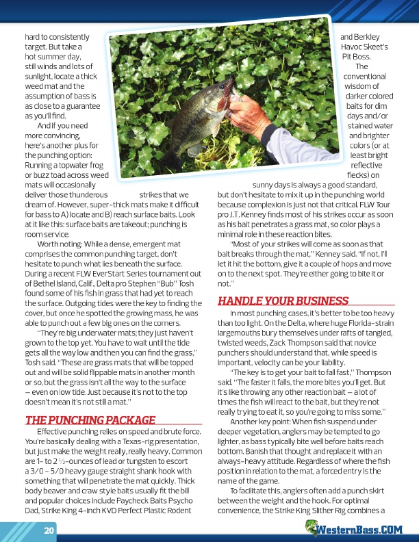 Westernbass Magazine - Bass Fishing Tips And Techniques - Summer 2013, Page 20