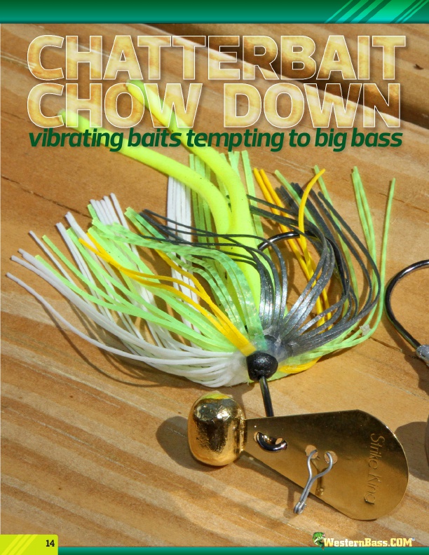 CHATTERBAIT CHOW DOWN Vibrating Baits Tempting To Big Bass by David A.  Brown , Buzzbait Breakdown with Billy Skinner by Jody Only