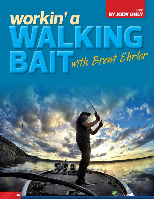 Working A Walking Bait With Brent Ehrler
by Jody Only
