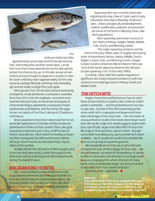 WesternBass Free Magazine, Summer Bass Fishing Tips 2017