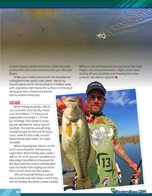 https://storage.westernbass.com/mag_wb/wb_mag_summer_2017/page60/bass%20fishing%20topwater%20lures%20with%20a%20buzzbait%20for%20summer%20targets.jpg