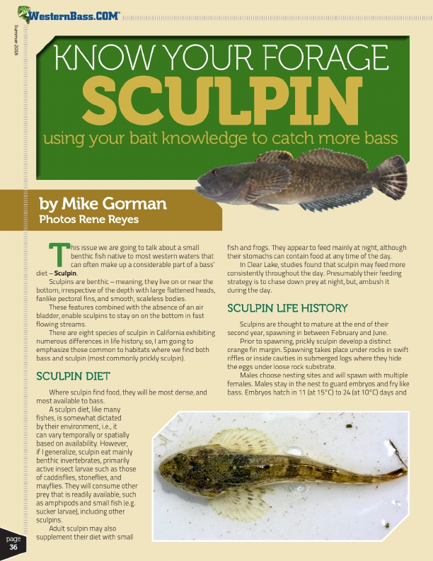 Imitiate a sculpin when fishing for largemouth by matching bait to forage