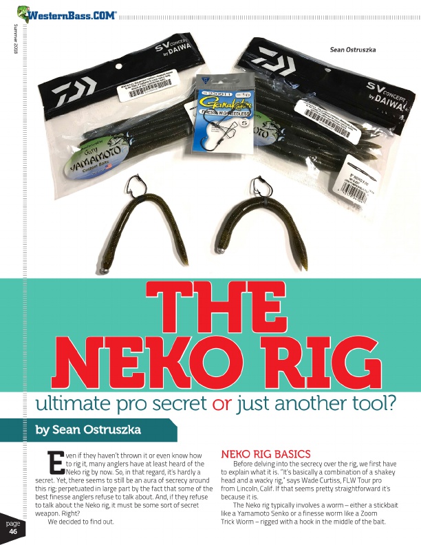 The Neko rig typically involves a worm either a stickbait like a Yamamoto Senko