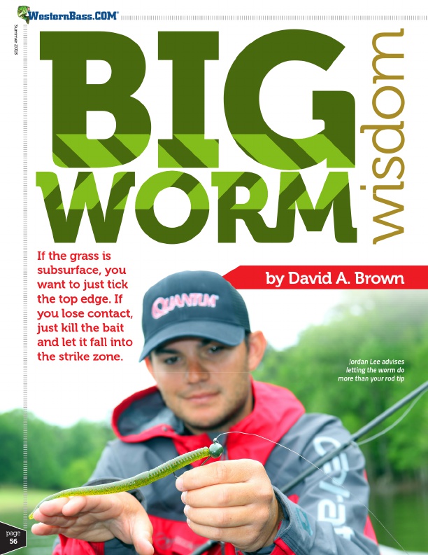 Let the worm do more than your rod tip