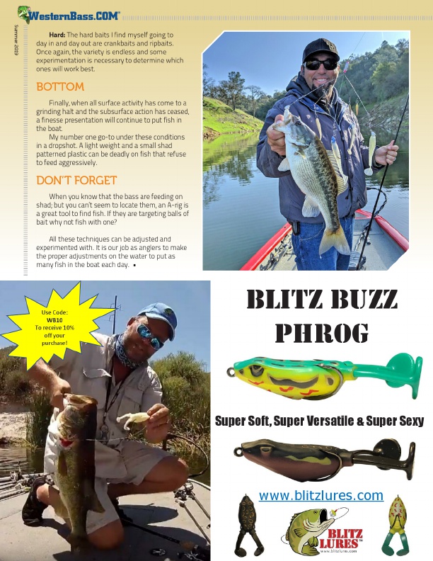 Targeting Bass That Are Targeting Shad, Page 2