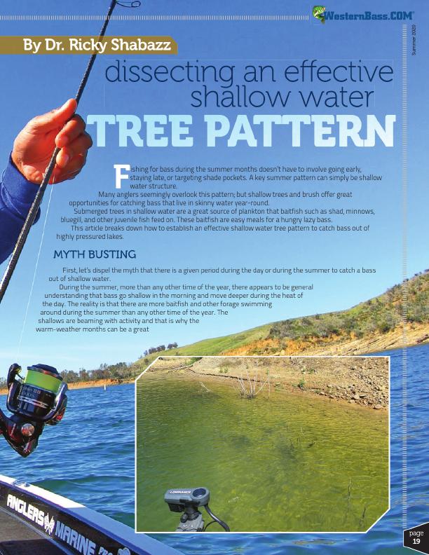 Targeting Shallow Water Tree Patterns