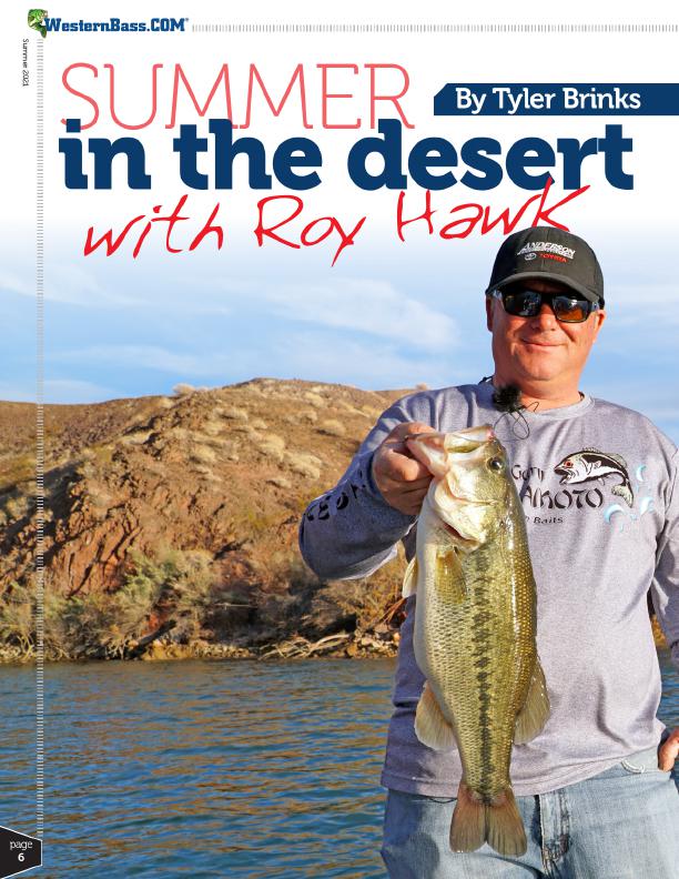 Summer In The Desert With Roy Hawk 		
By Tyler Brinks