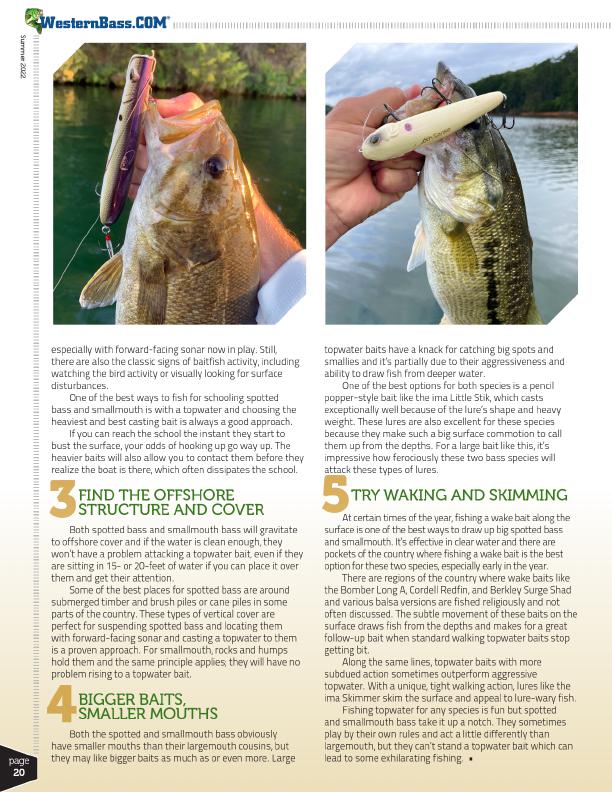 5 Topwater Rules to Live By, Page 4