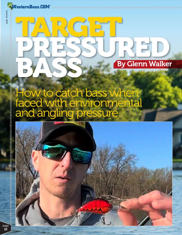 Hot Weather Bass Patterns